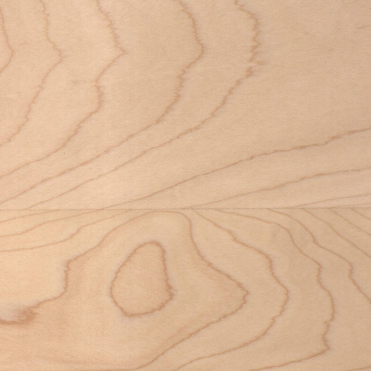 10 Natural Maple Wood Sample