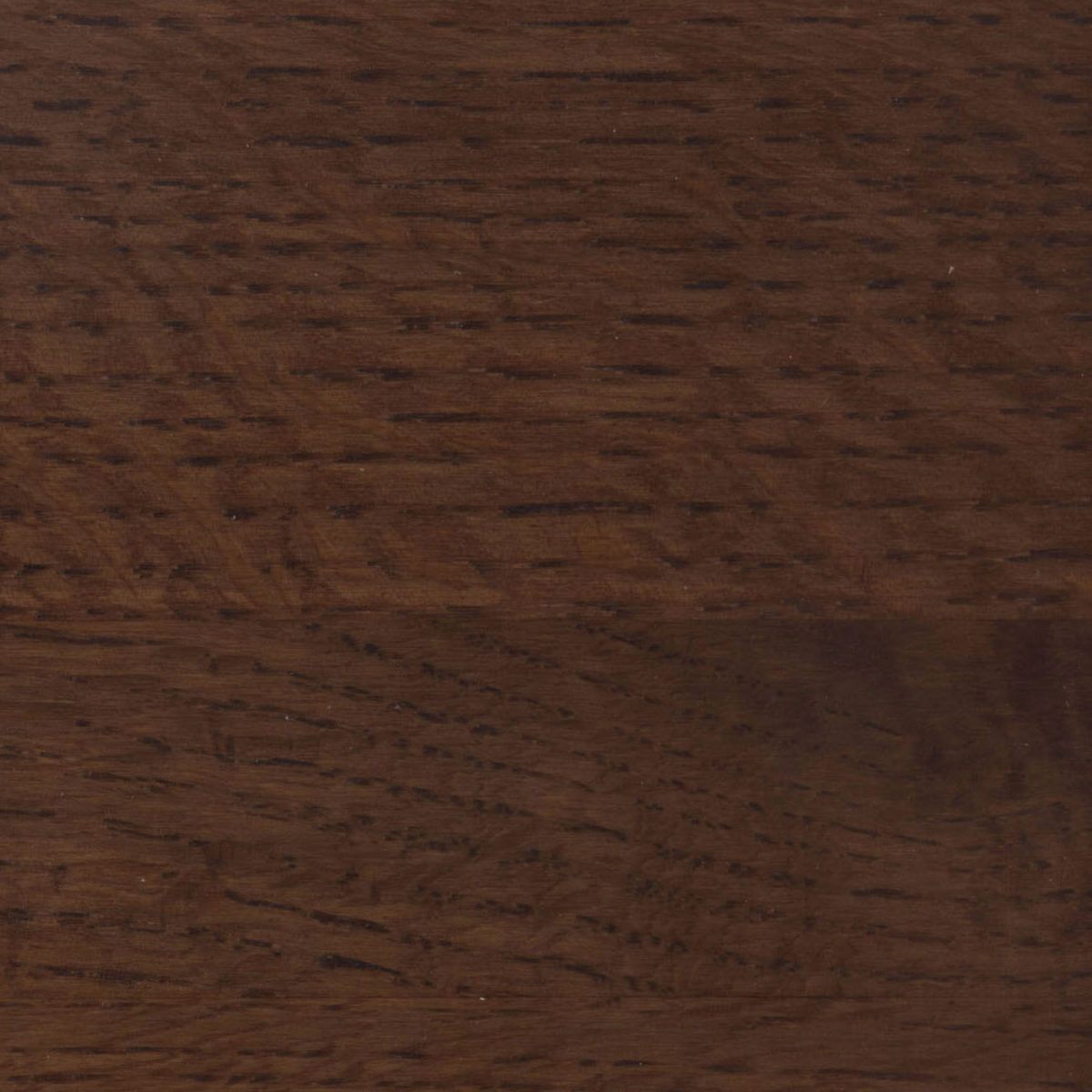 67A Quarter Sawn White Oak Wood Sample