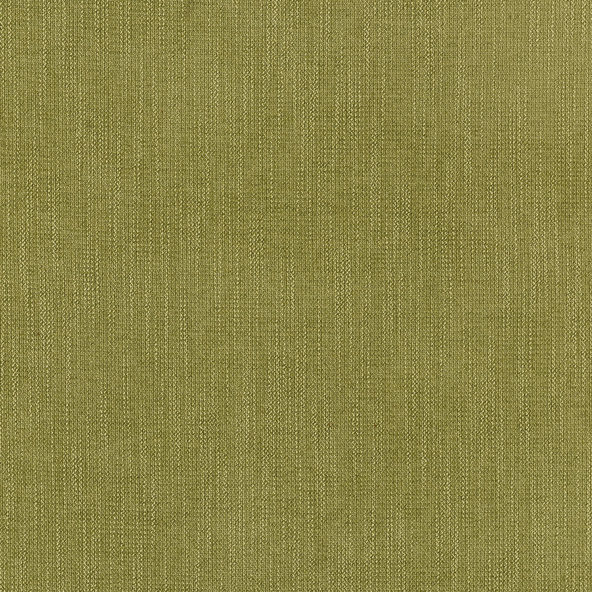 C2-29 Celery (W)