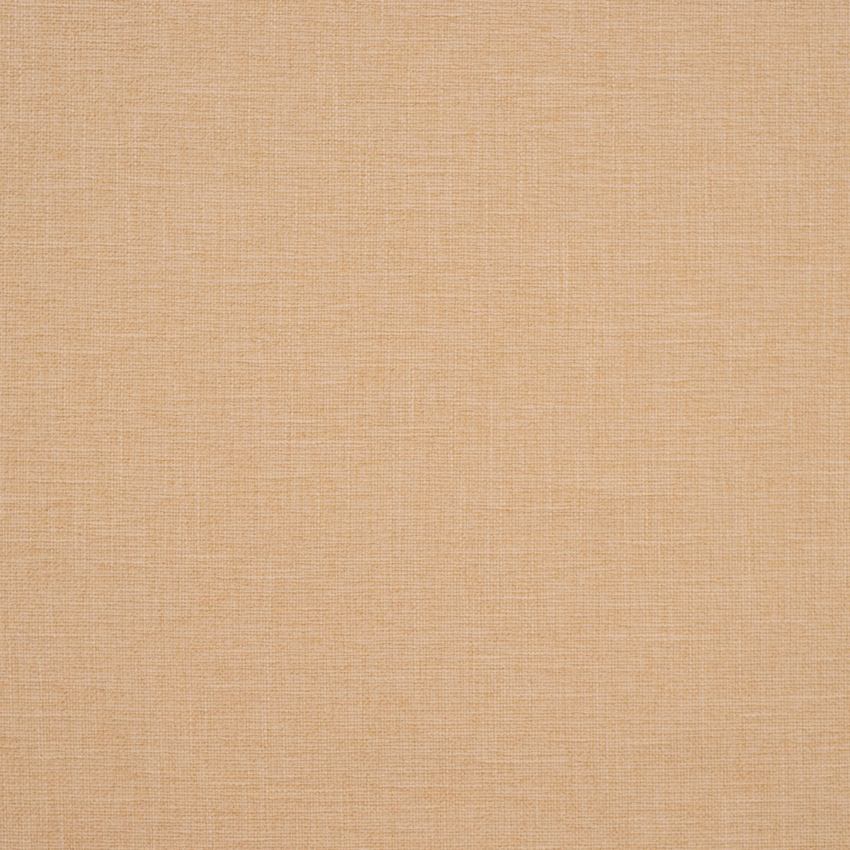 C2-11 Canvas (W)