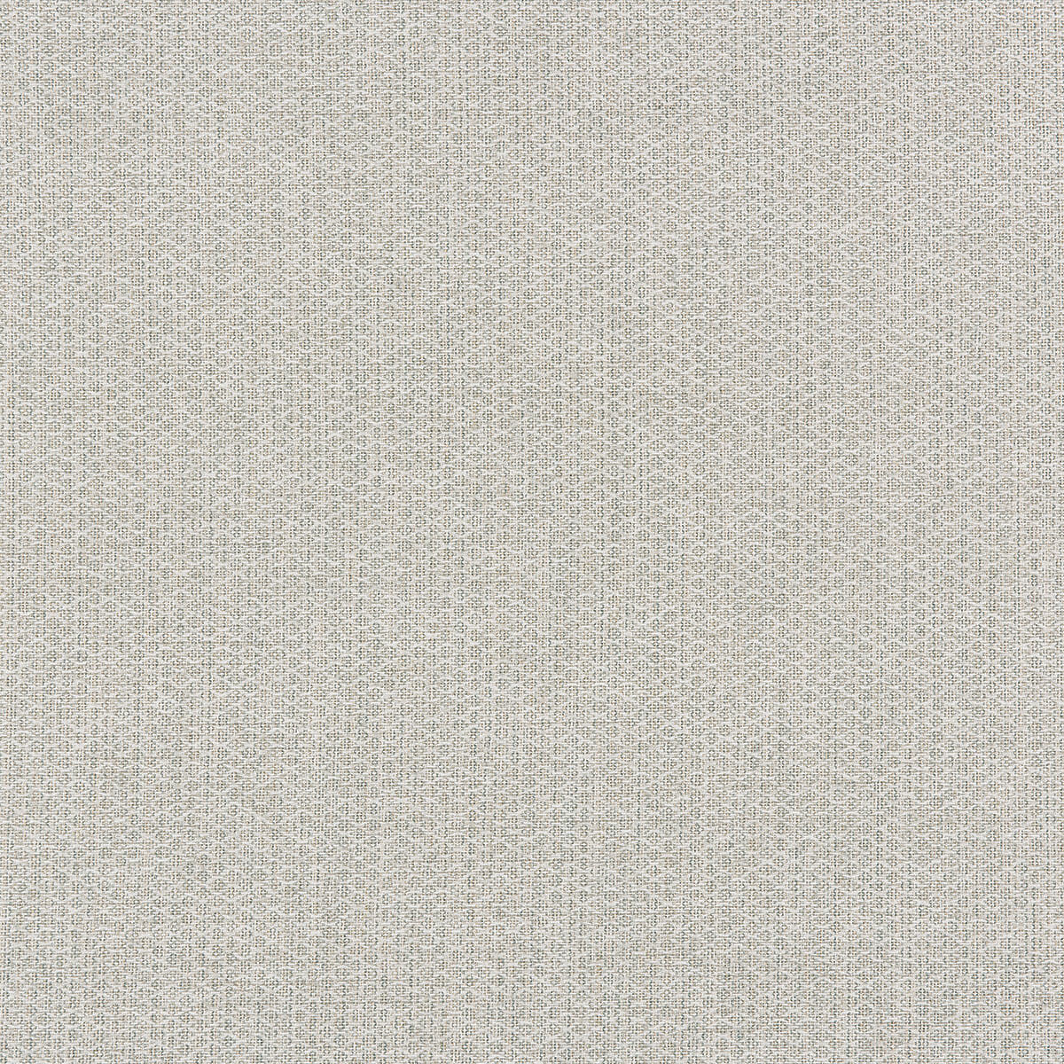 R1-84 Elm (WS)