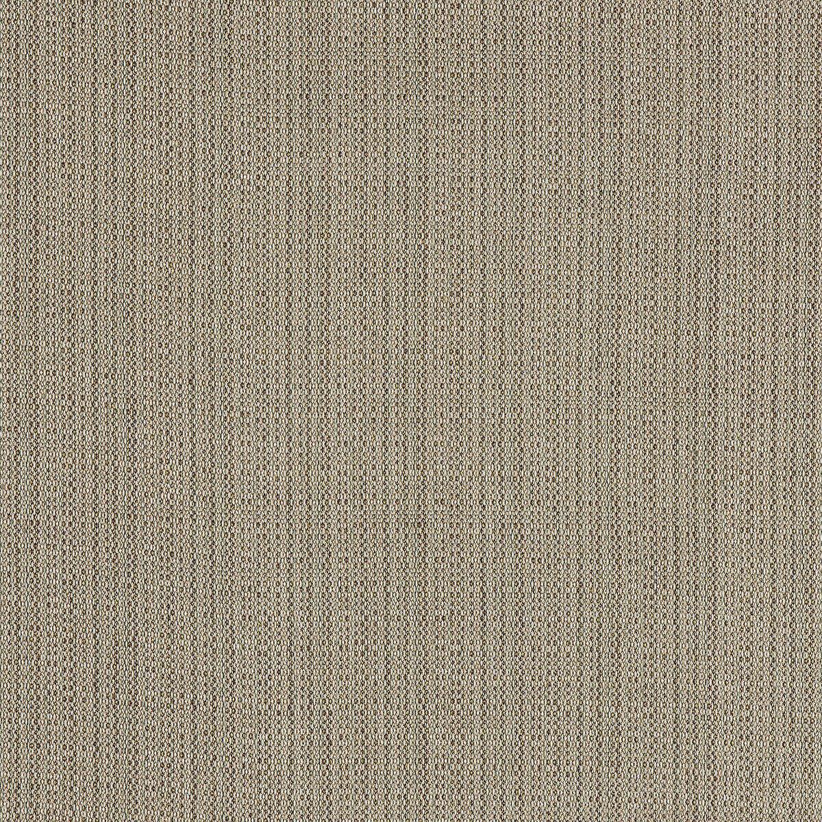 C8-88 Sisal (W)