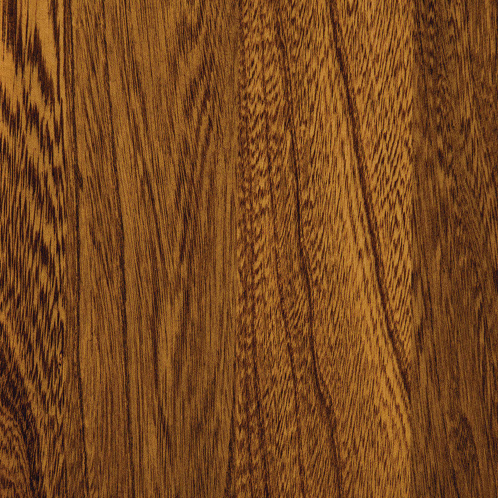 Golden Pecan Elm (FC 41610)