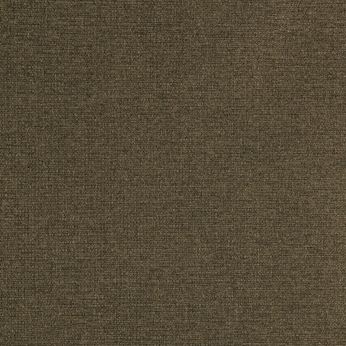 R1-116 Poly (WS)