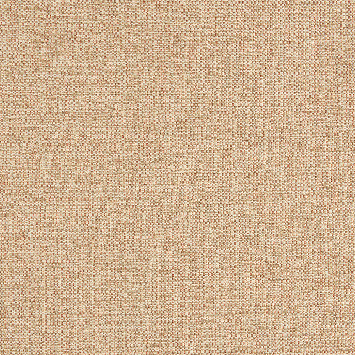 R1-122 Adorn (WS)