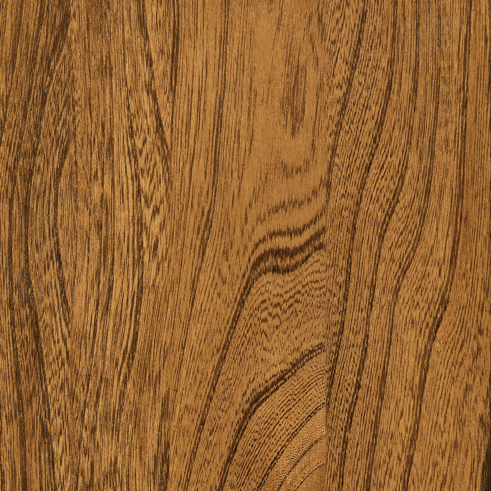 Sealy Elm (FC 44938)