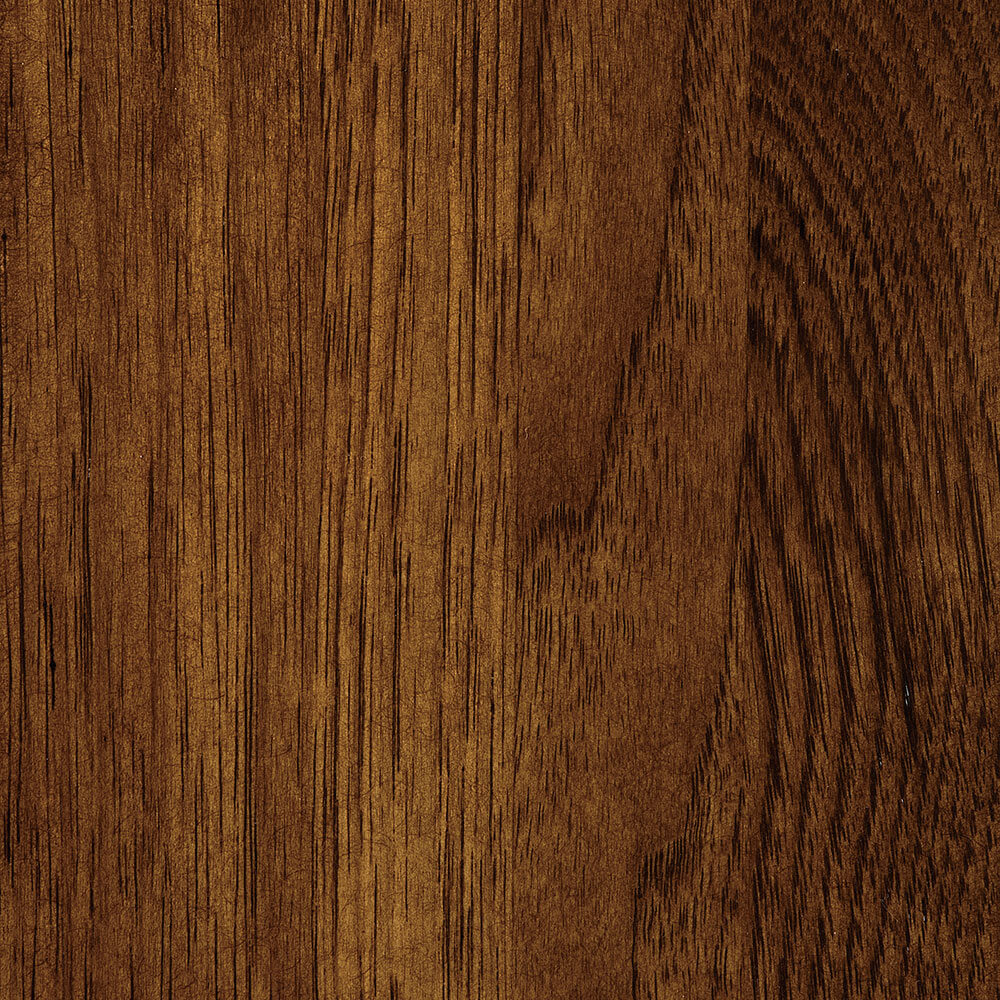 Tavern Hickory (FC 10944)