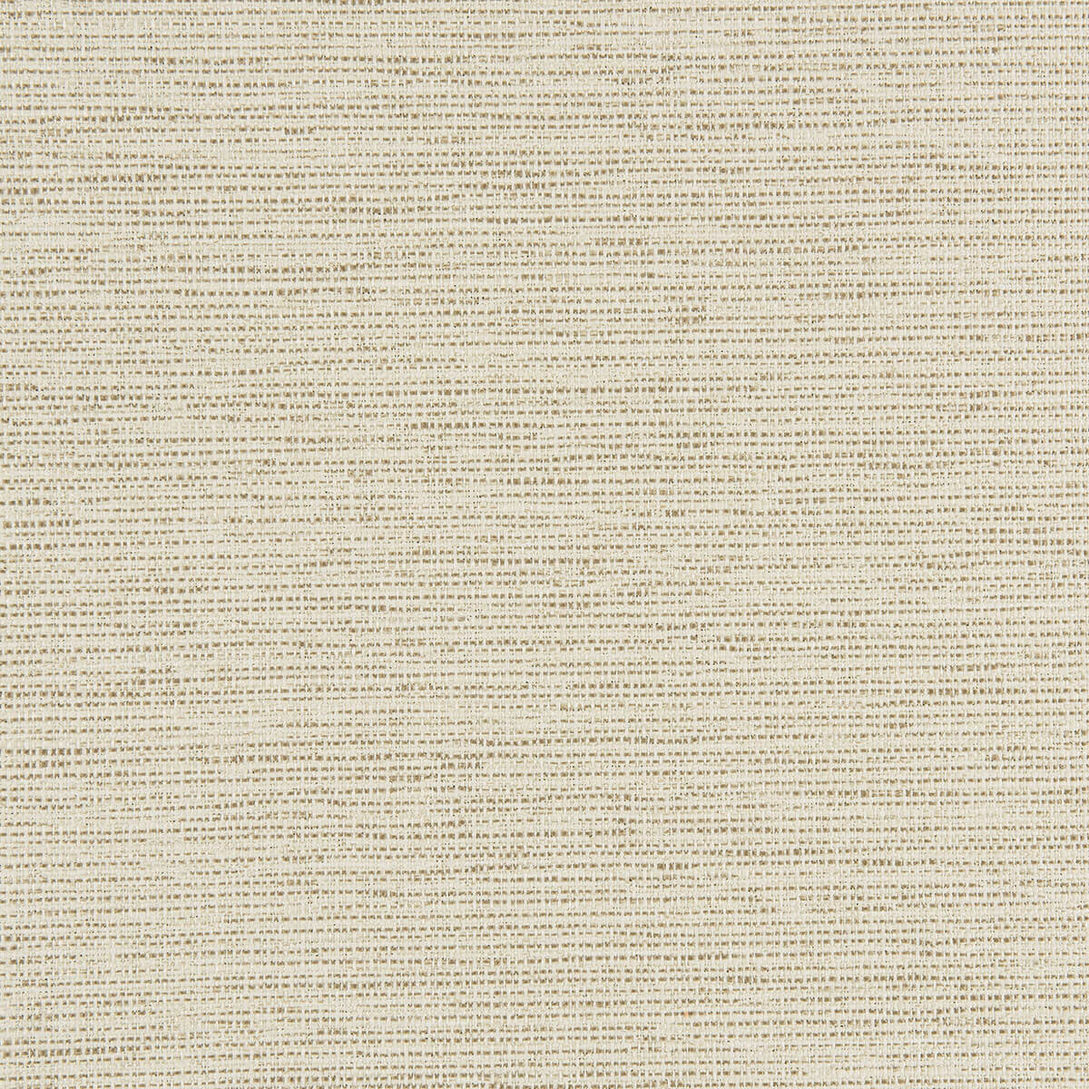 R1-137 Palm (WS)