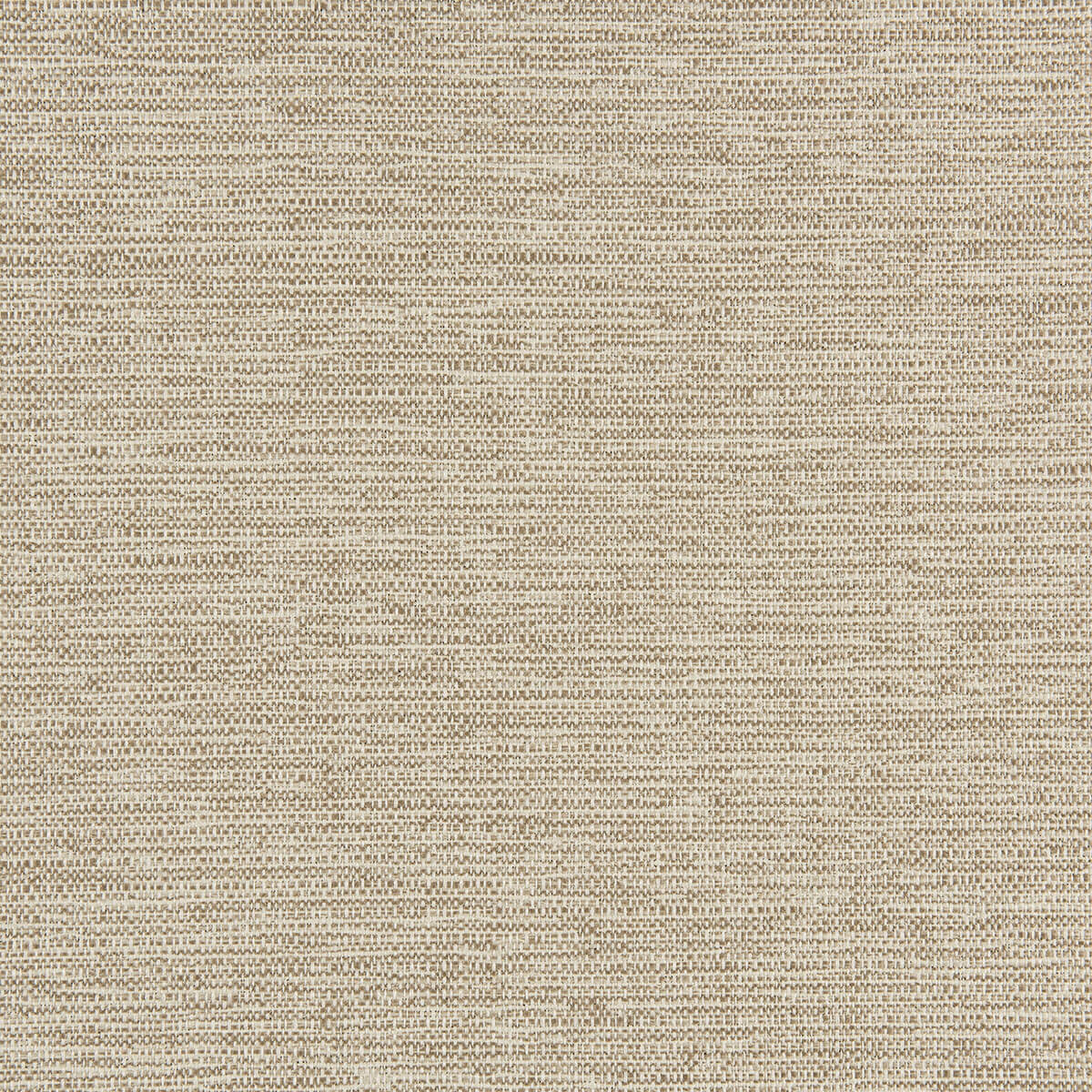 R1-138 Gale (WS)