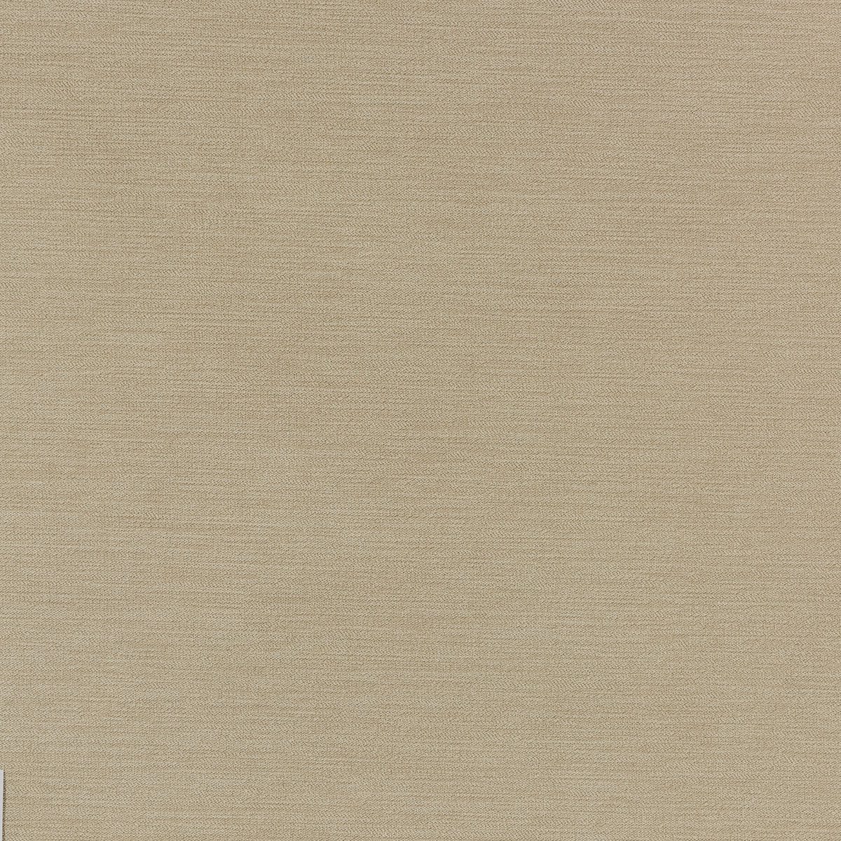 C2-31 Breeze (W)