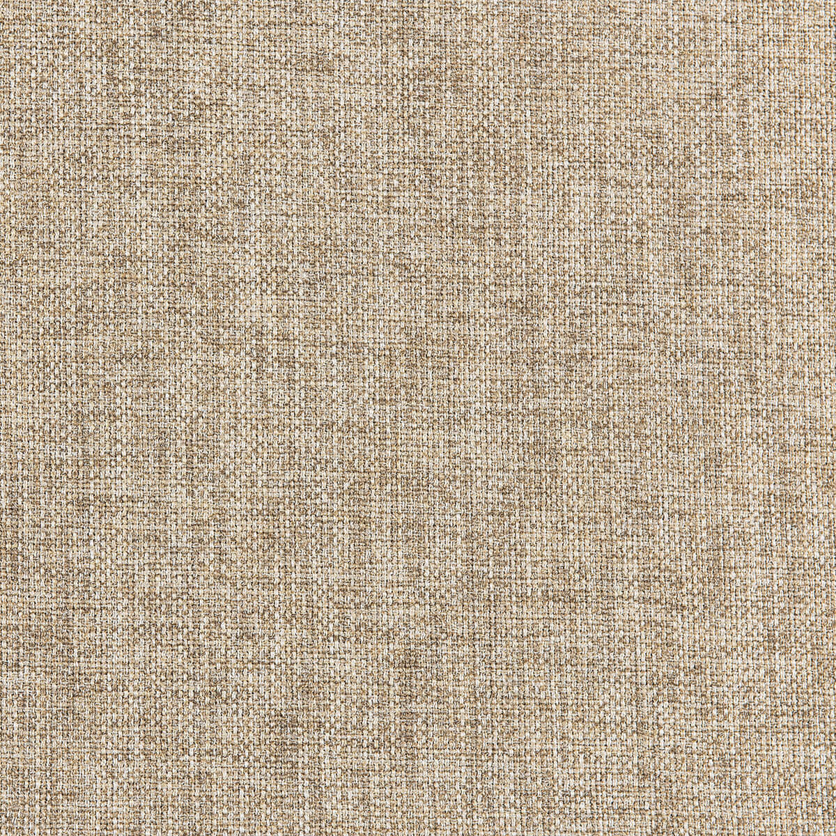 C2-44 Goldilocks (W)