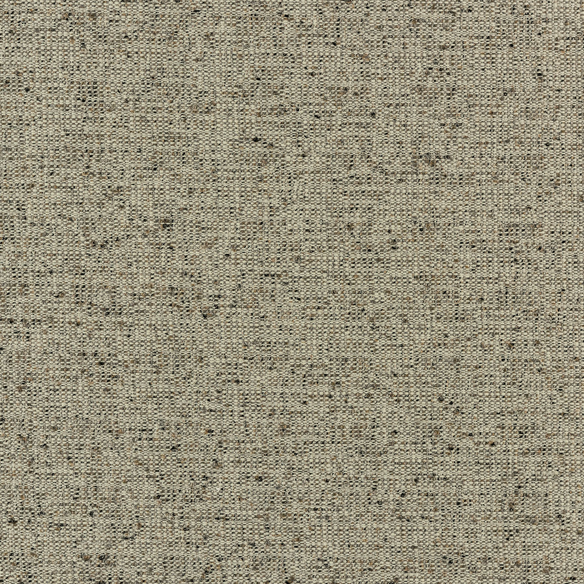 C8-56 Spray (S/W)