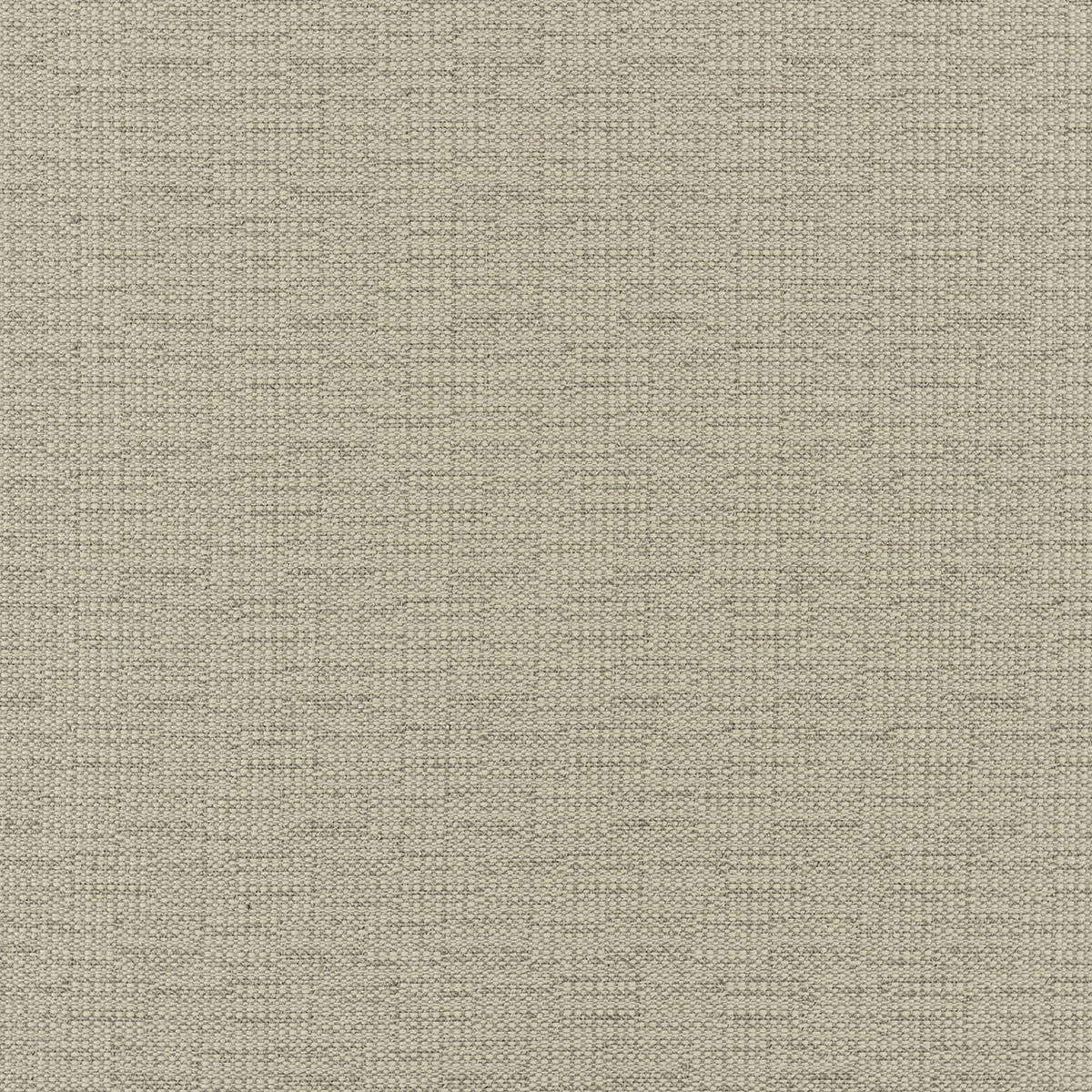 C8-57 Coconut (S/W)