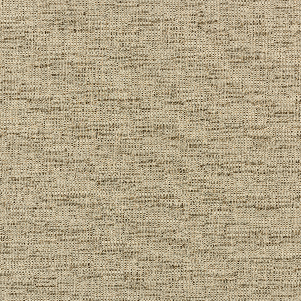 C8-58 Cane (S/W)