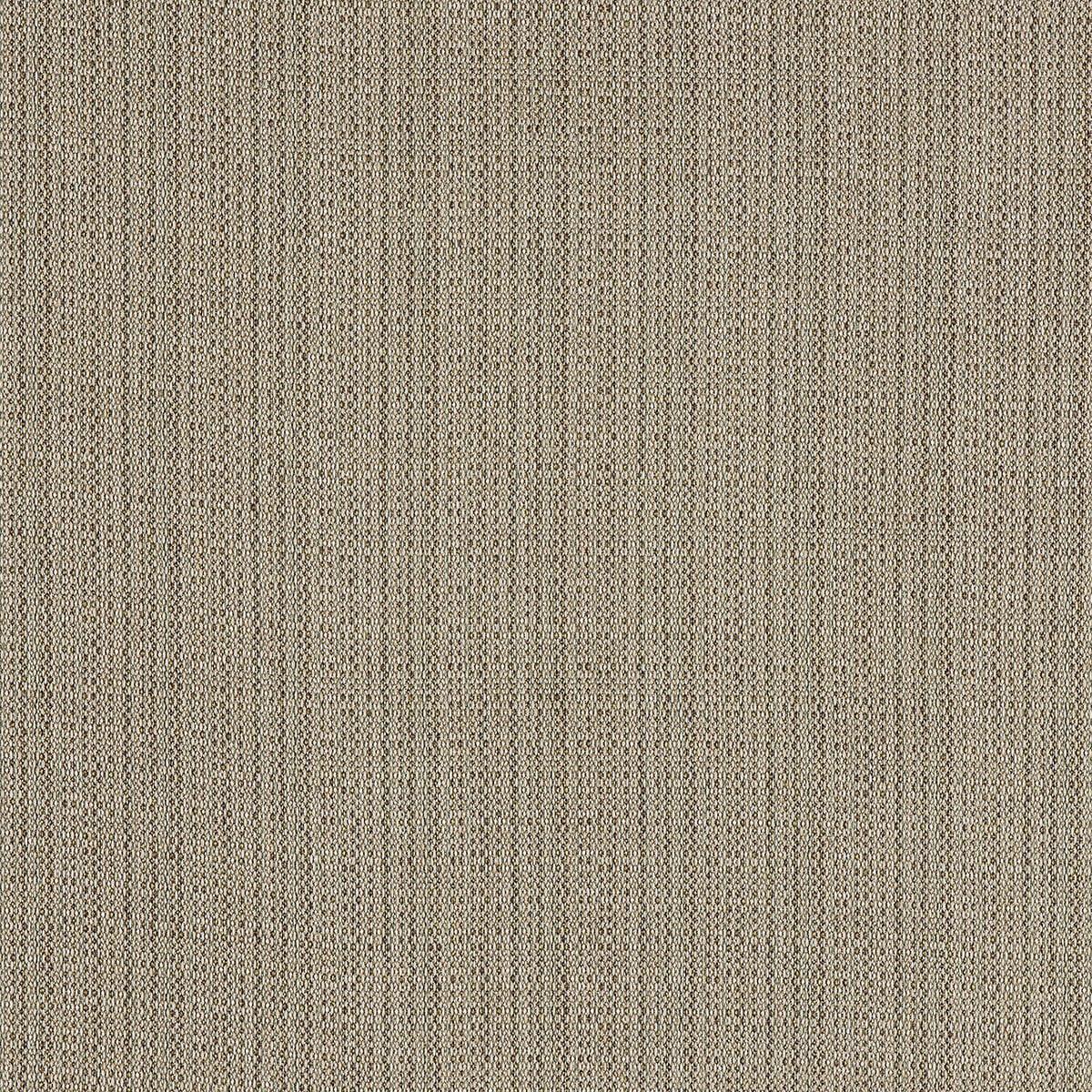 C8-88 Sisal (W)