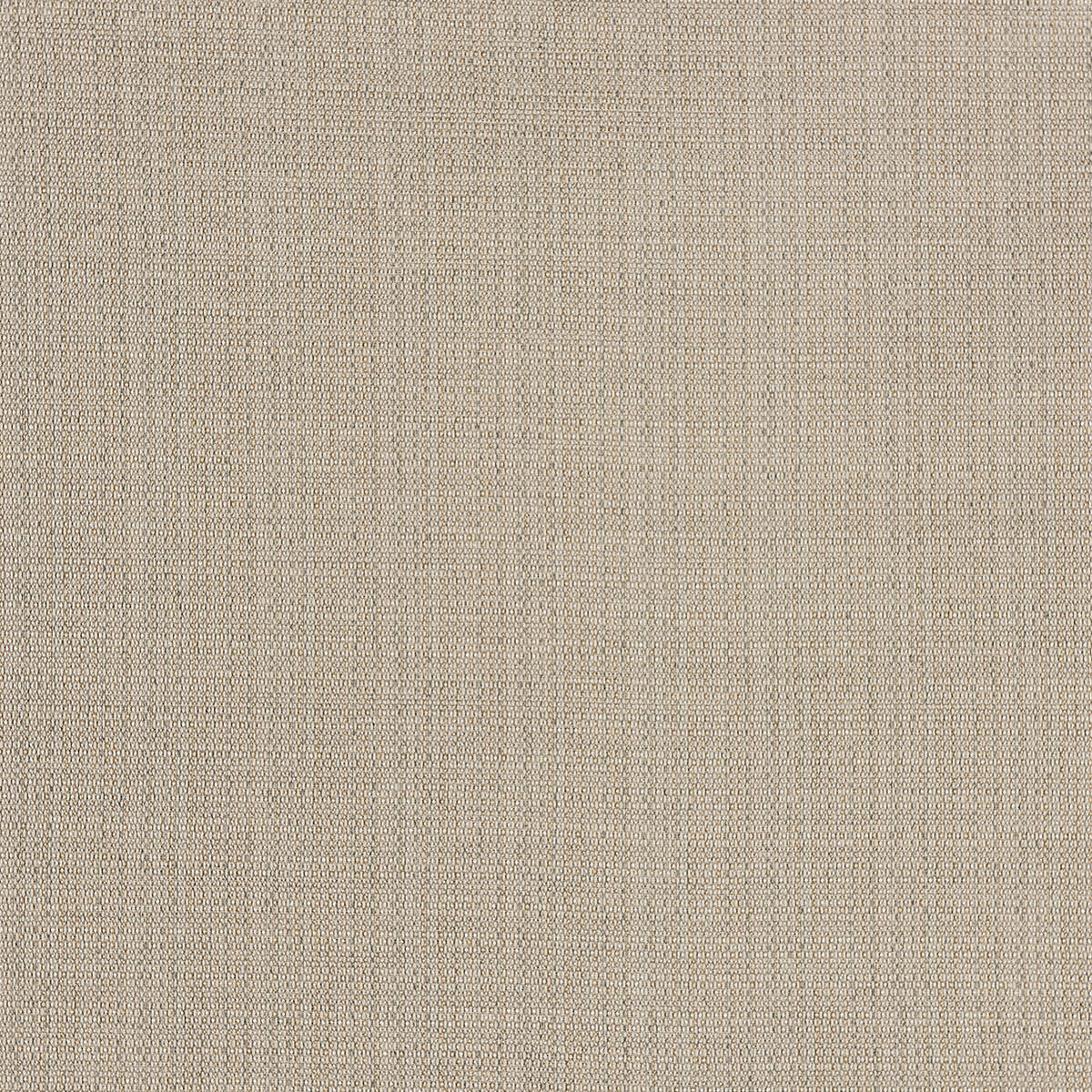 C8-89 Note (W)