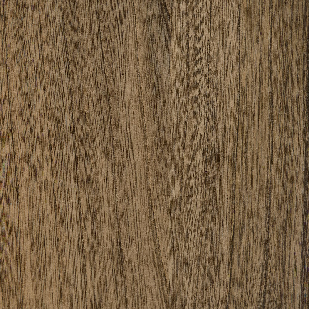 Almond Elm (FC 42000)