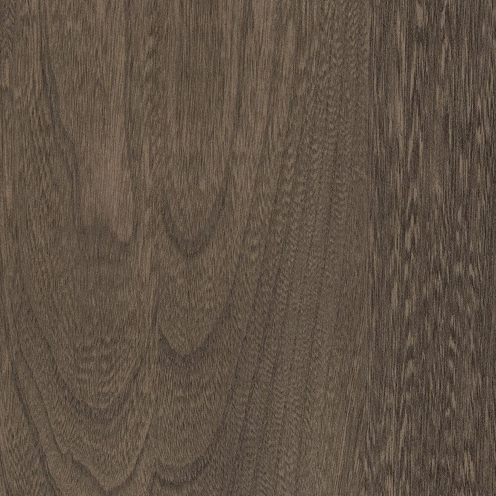 Driftwood Elm (FC 11434)