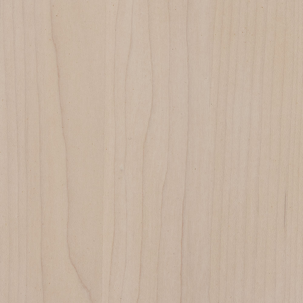 Limed Hard Maple (D22CW00148)