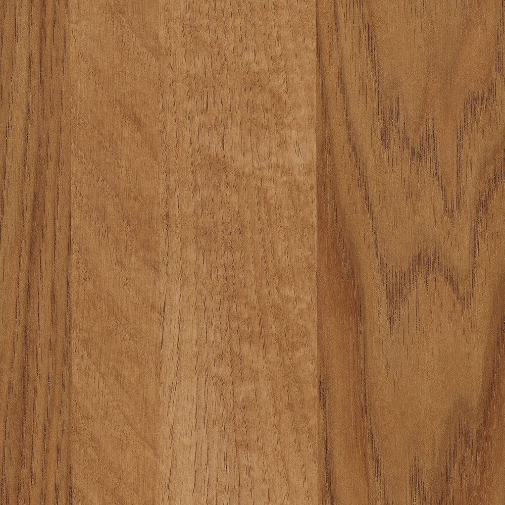 Chestnut Hickory (FC 104)