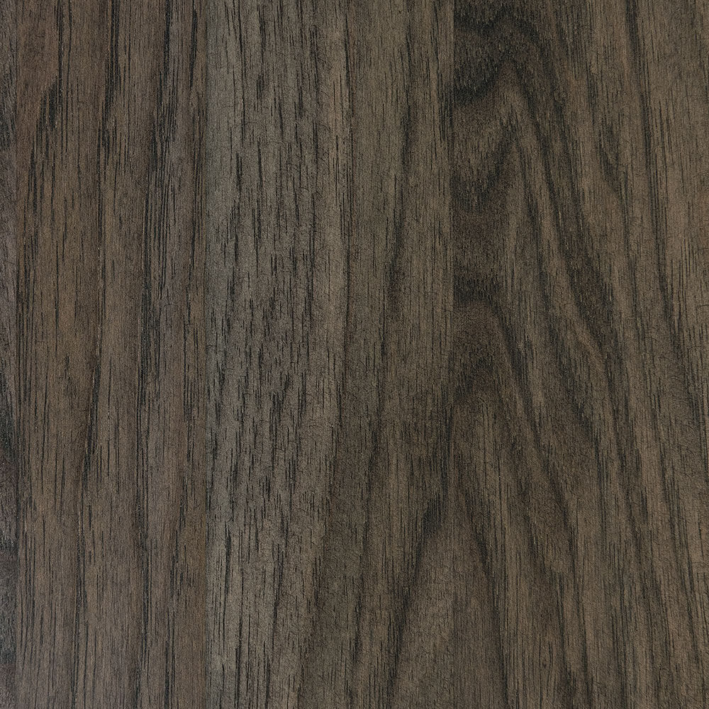 Flint Hickory (FC 51263)