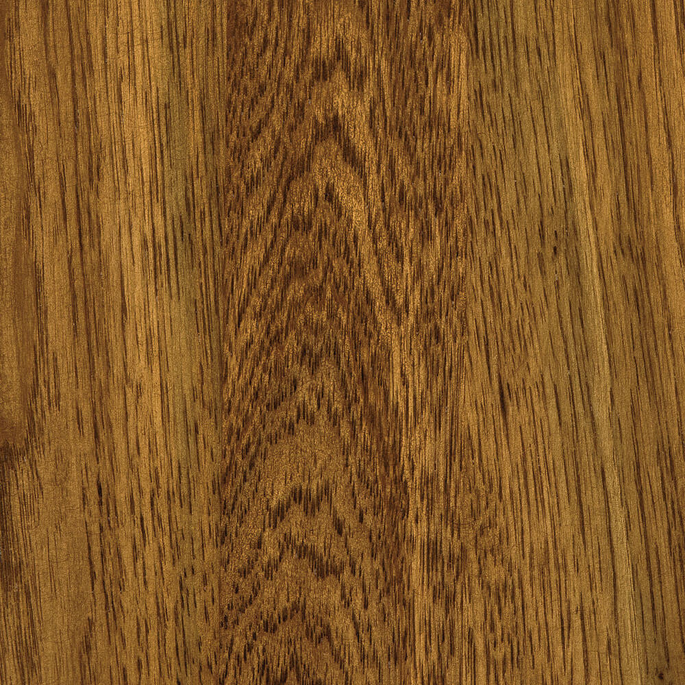 Hoosier Special Hickory (FC 11043)