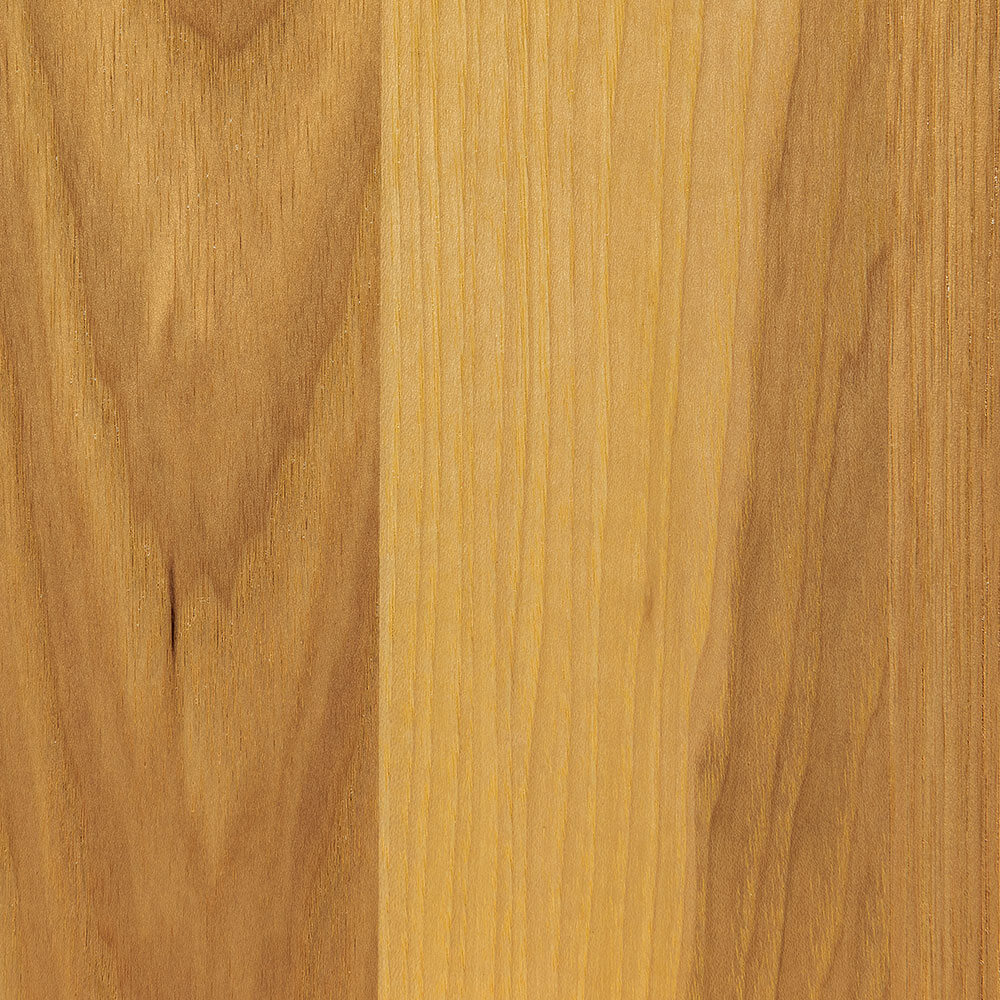 Lemon Hickory (D22Y00320)