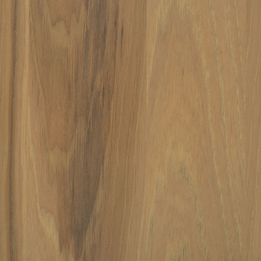 Sand Hickory (D22N10202)