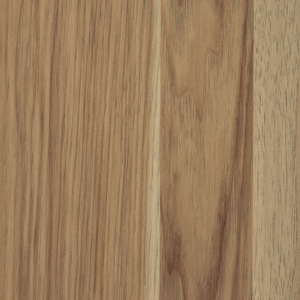 Seashell Hickory (D22N09096)