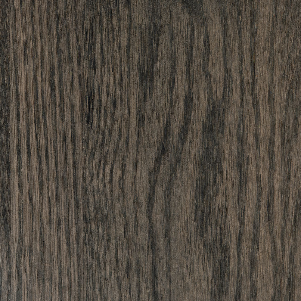 Flint Oak (FC 51263)