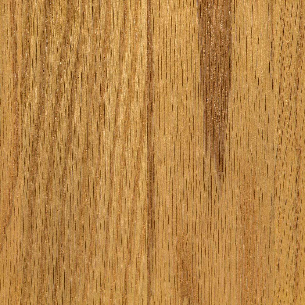 Lemon Oak (D22Y00320)