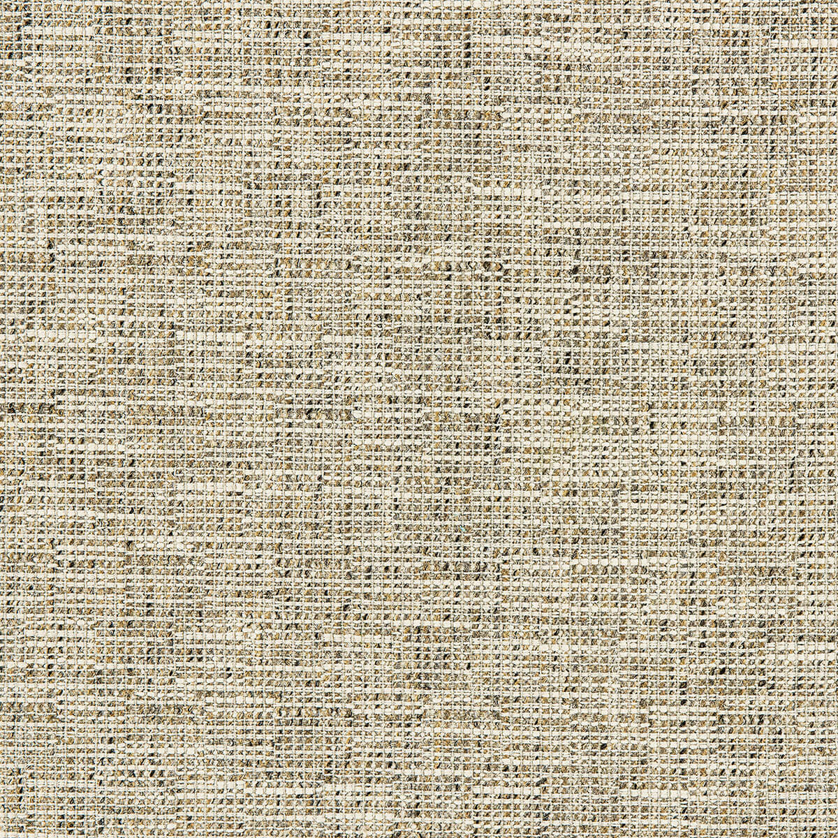 O8-81 Tweed (WS)