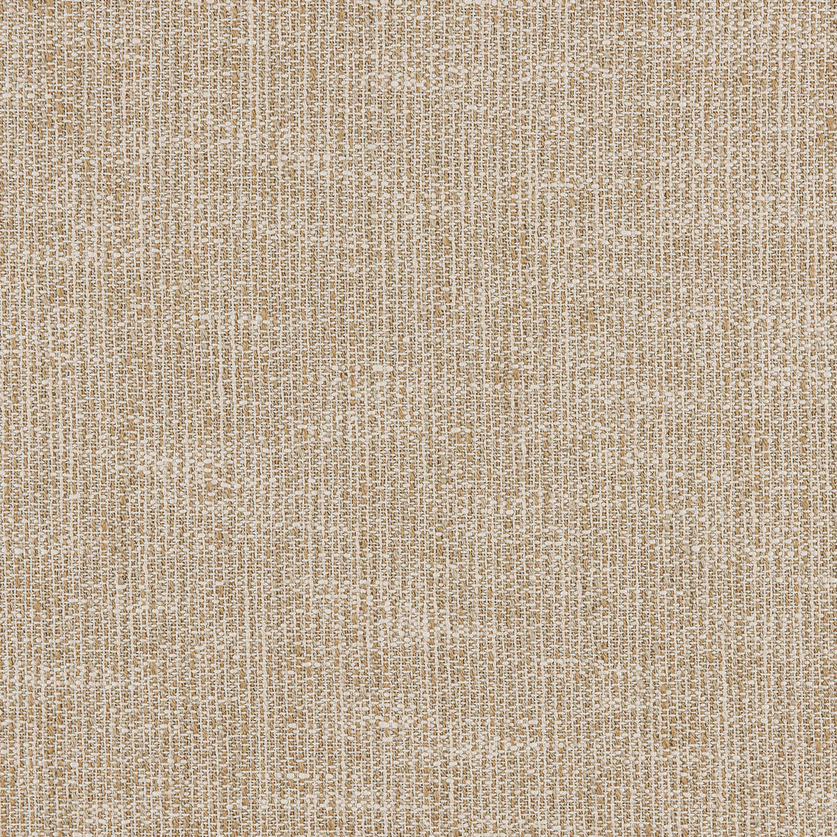 O8-83 Gomer (WS)