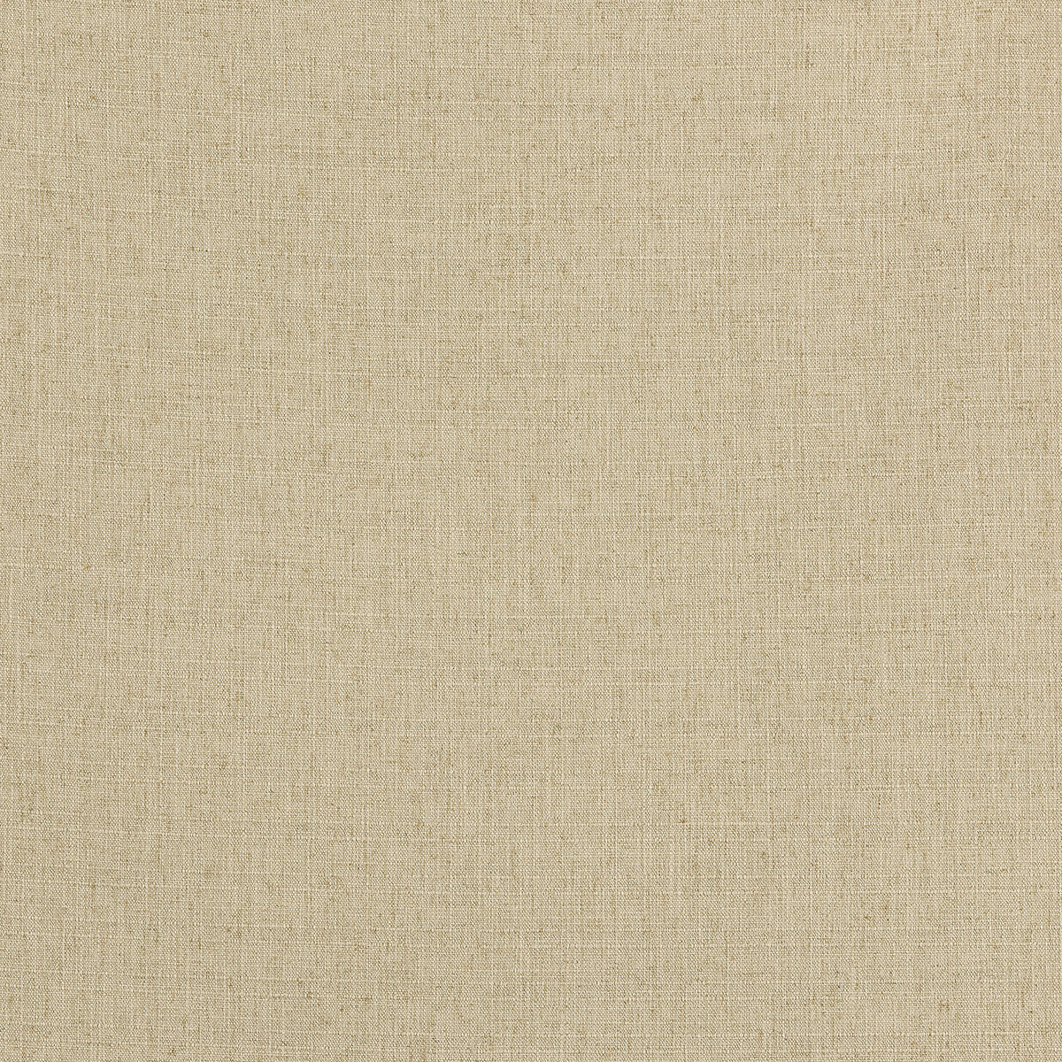 C16-55 Bleat (WS)