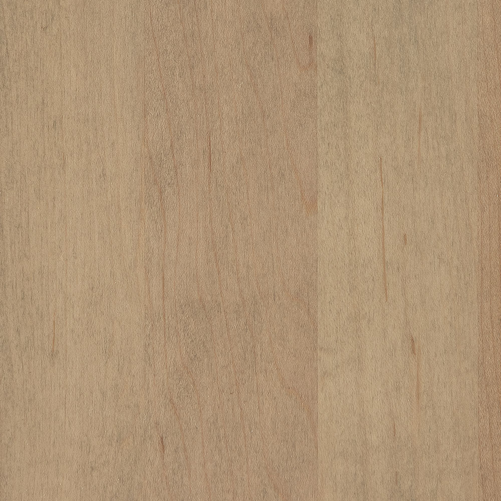 Seashell Hard Maple (D22N09096)
