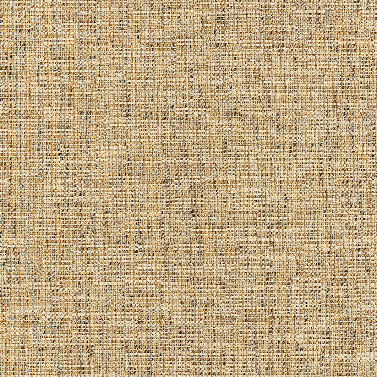 O8-82 Chestnut (WS)