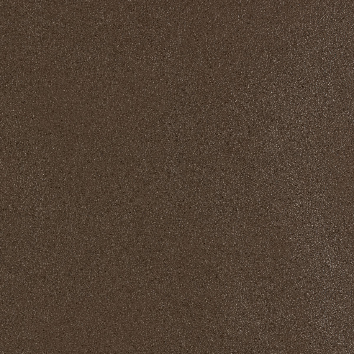 U3-35 Truffle