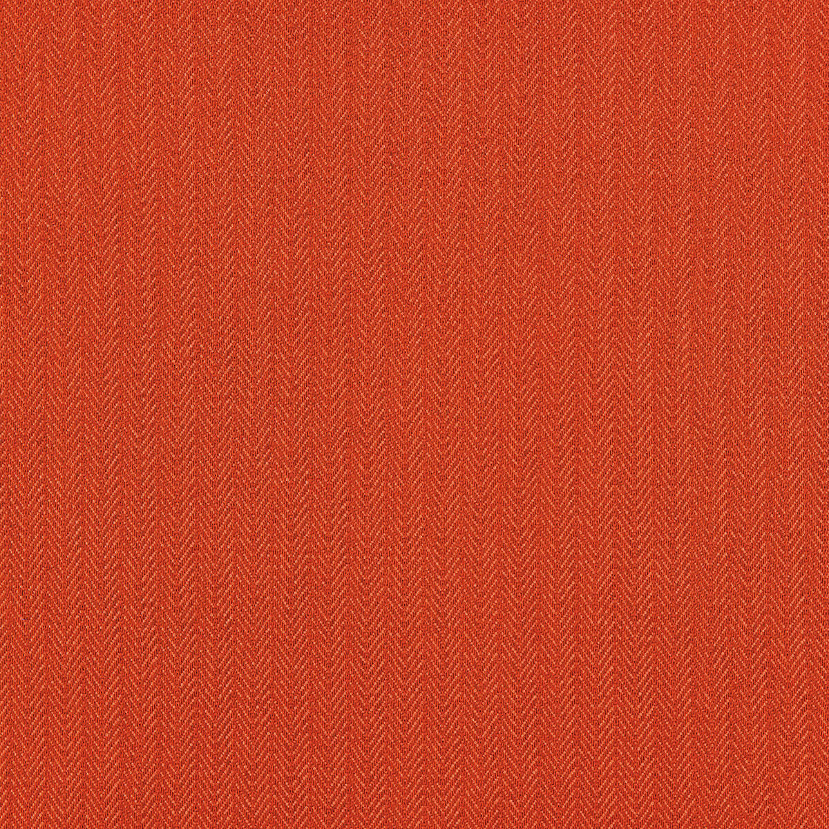 O1-3 Tangerine (WS)