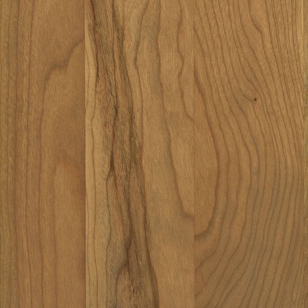 Seashell Sap Cherry (D22N09096)