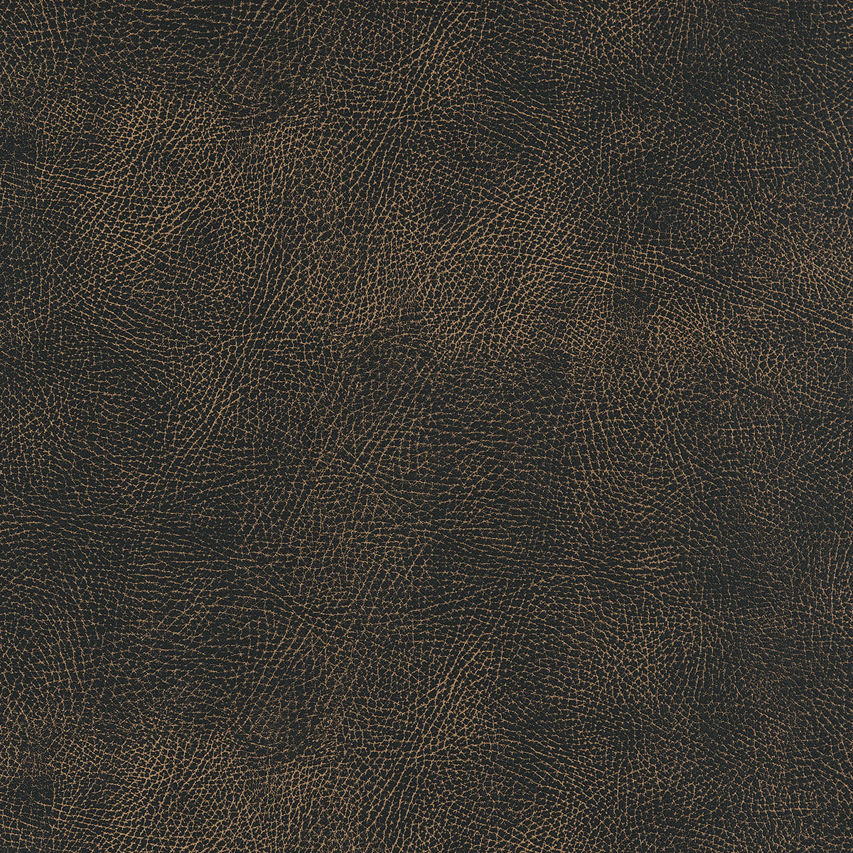 U3-51 Steerhide
