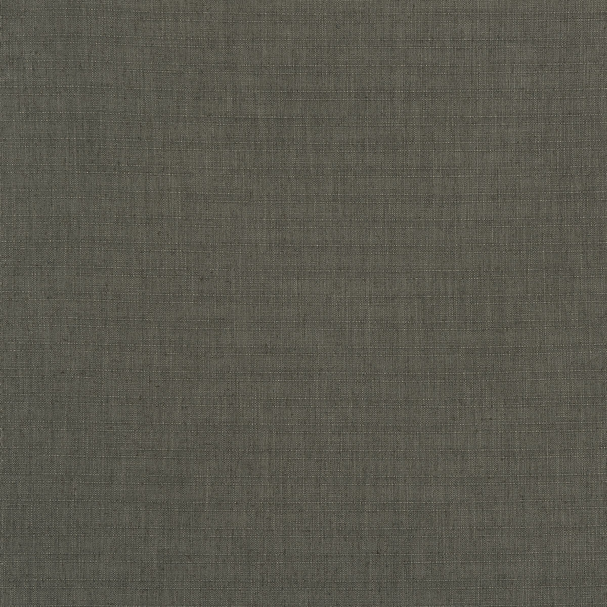 C16-56 Billow (WS)