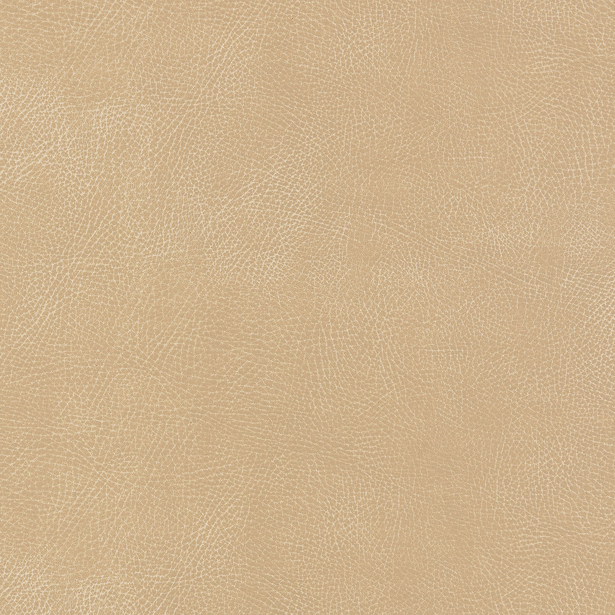U3-50 Buckskin