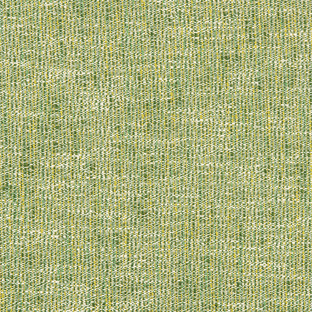 O8-85 Endive (WS)