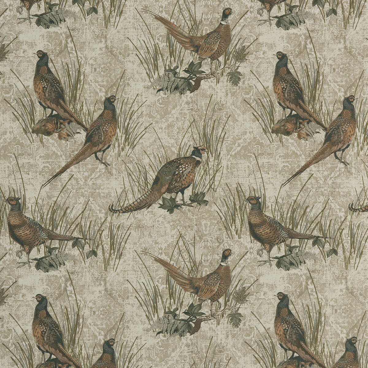 16-164 Plumage (S)