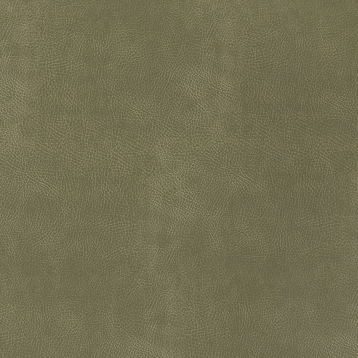 U3-55 Prairie (W)