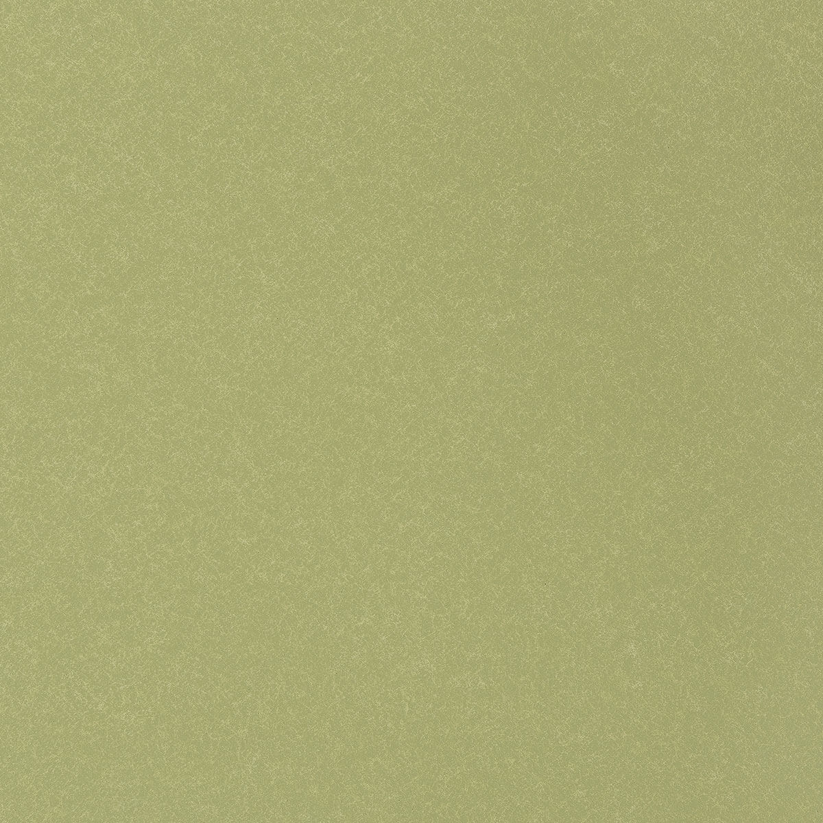 U3-60 Icy Pear (W)