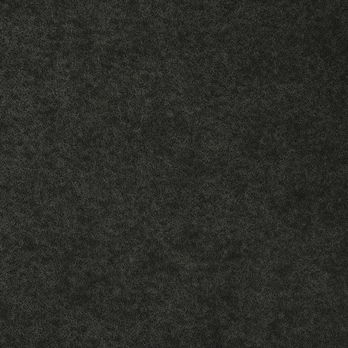 U3-64 Black Crow (W)