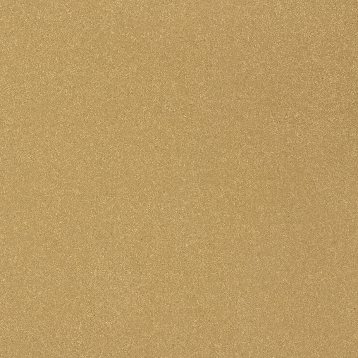 U3-57 Sunset Gold (W)