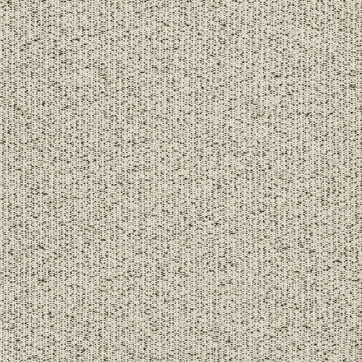 R1-144 Chitchat (WS)