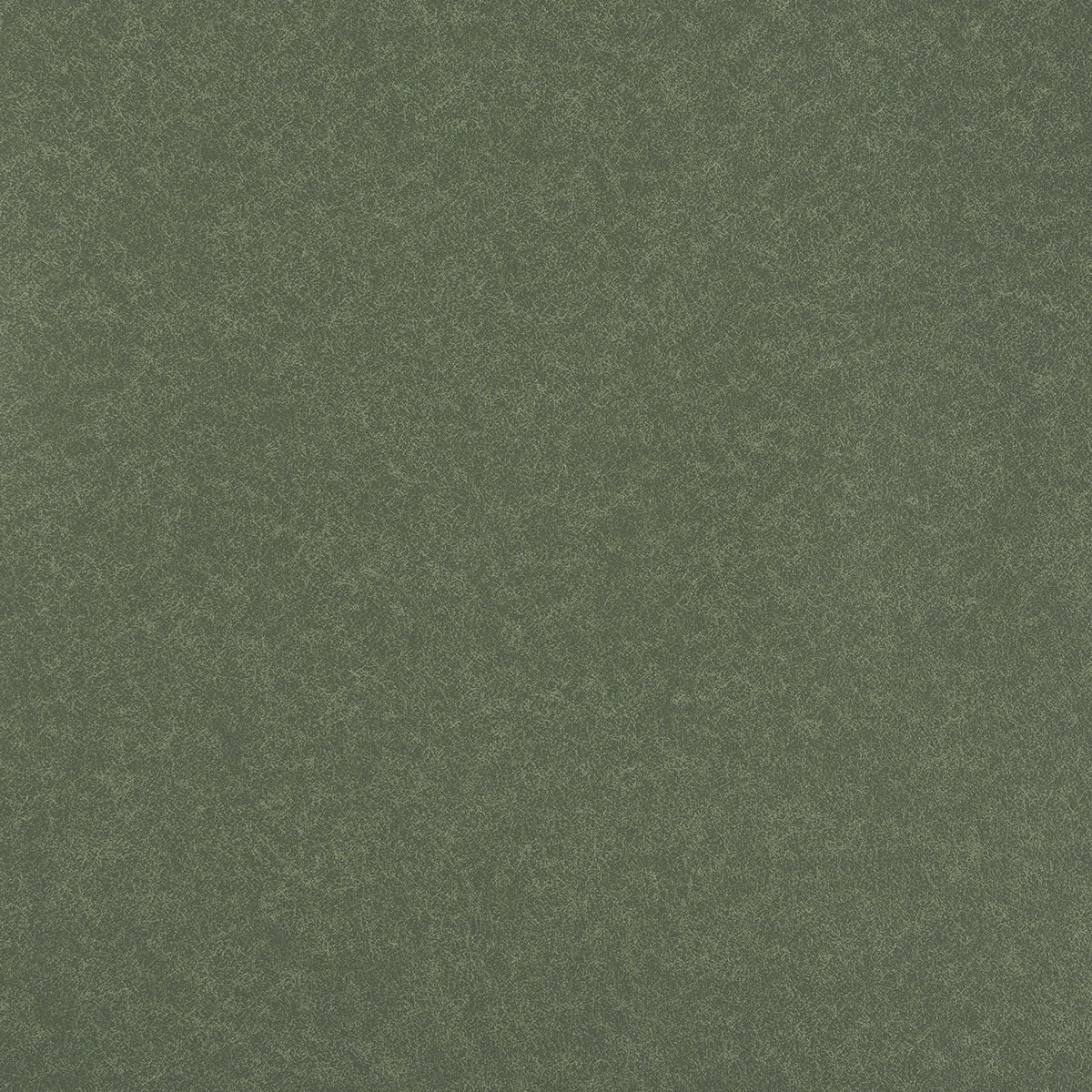 U3-61 Olive Drab (W)